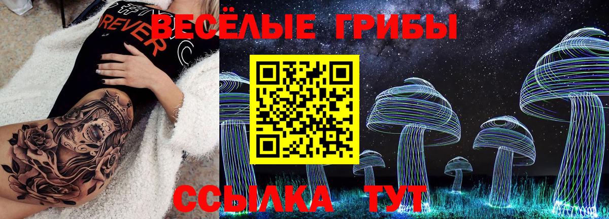 Санкт-Петербург  Псилоцибиновые грибы мухоморы  Вход с VPN 