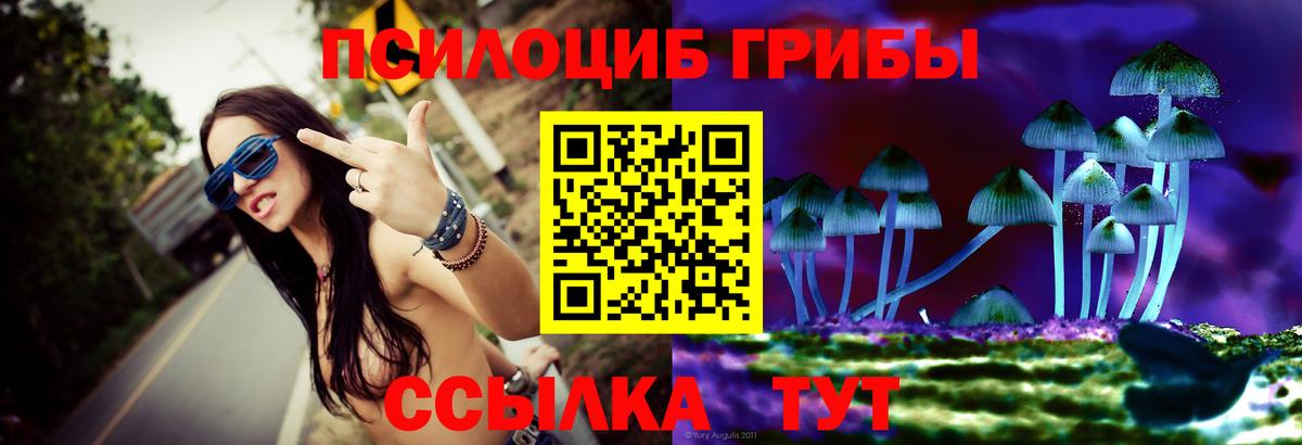 Галлюциногенные грибы MAGIC MUSHROOMS Санкт-Петербург
