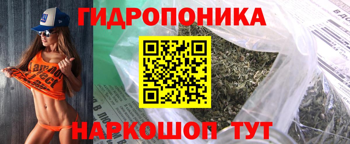 Каннабис план  Бошки марихуана VHQ  Вход с VPN  Санкт-Петербург  Бошки марихуана VHQ  Конопля Bruce Banner 